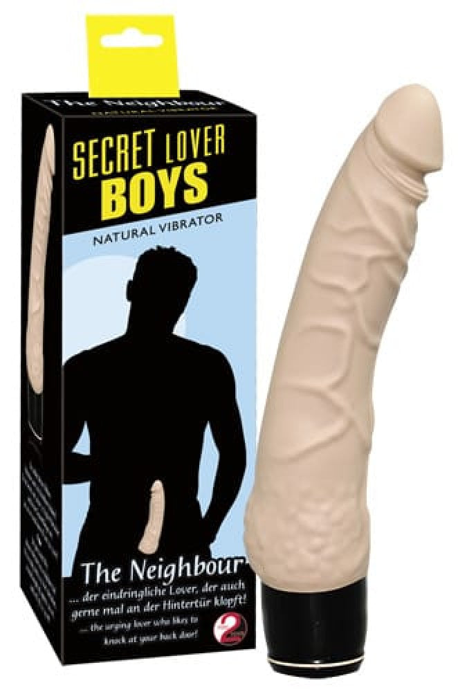 Vibrator
